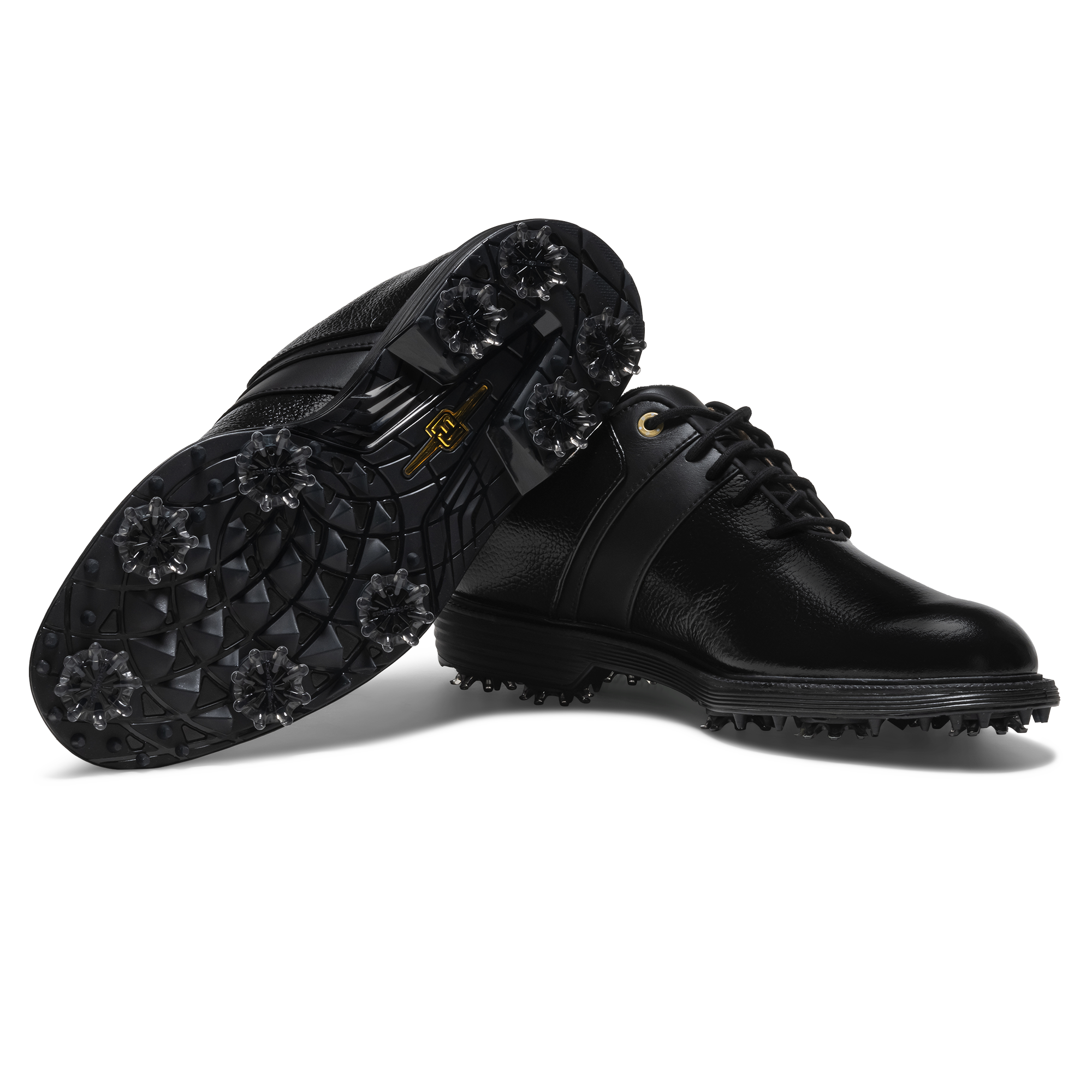 Premiere Series - Packard Women