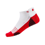 TechSof Tour Roll Tab Limited Edition Flag
