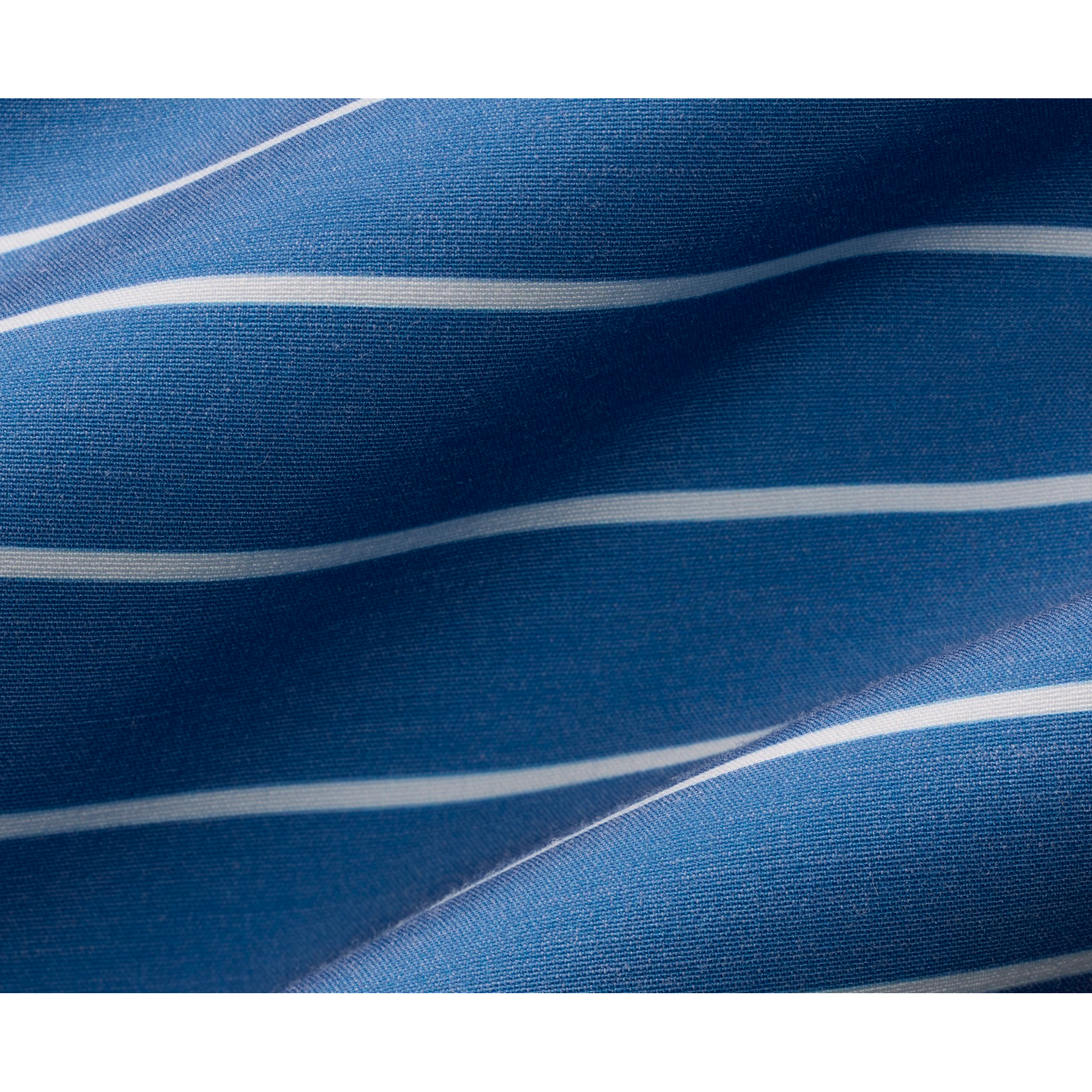 Bayberry Striped Trunk