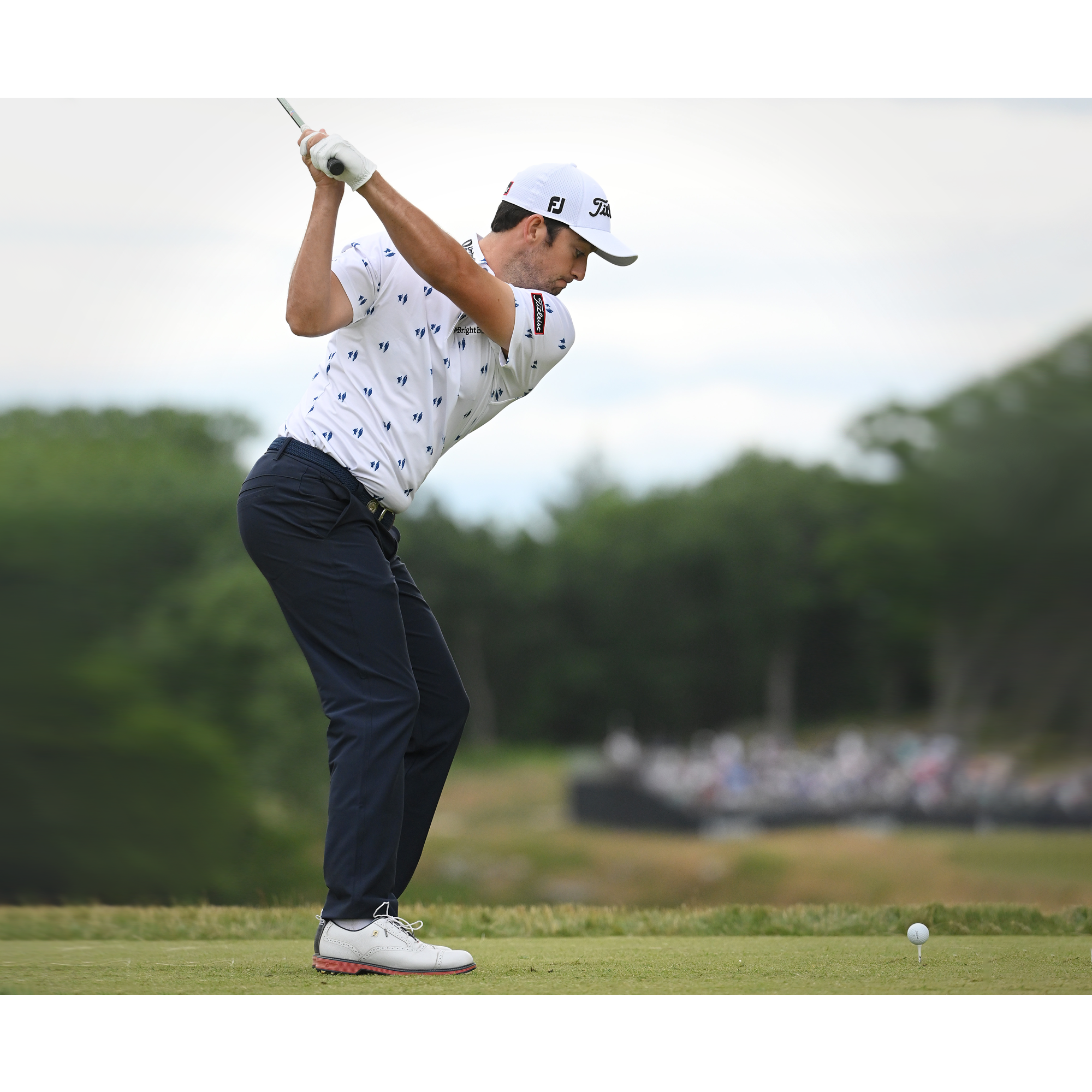 Premiere Series - Summer Classics Tarlow