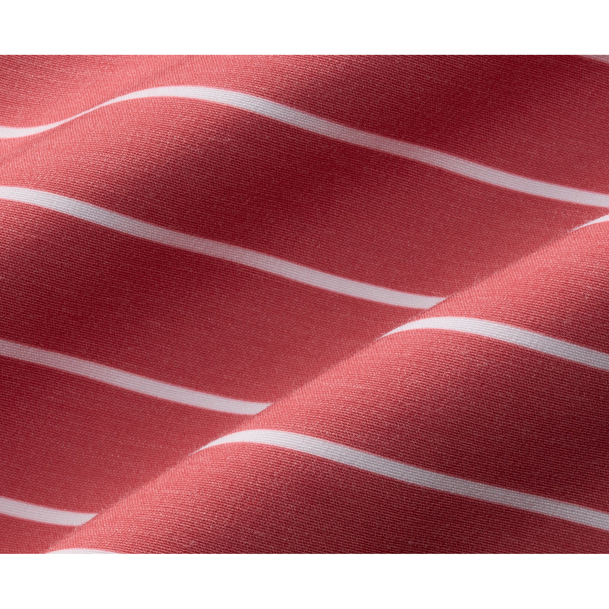Bayberry Striped Trunk