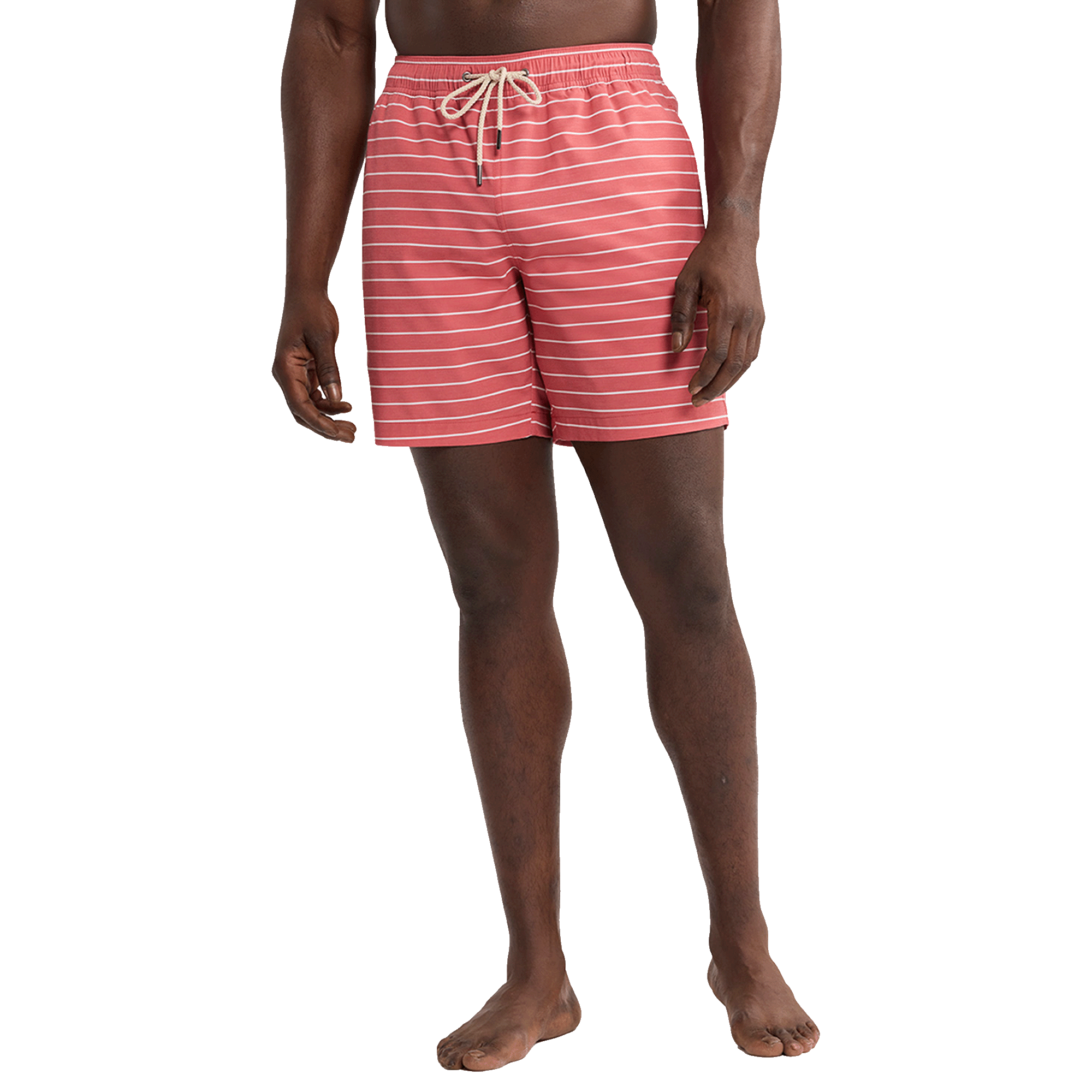 Bayberry Striped Trunk
