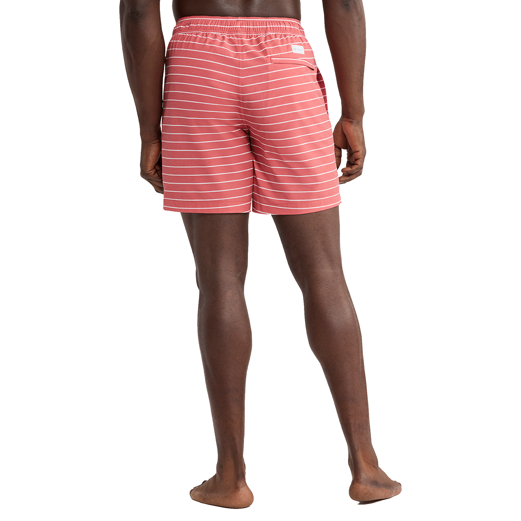 Bayberry Striped Trunk