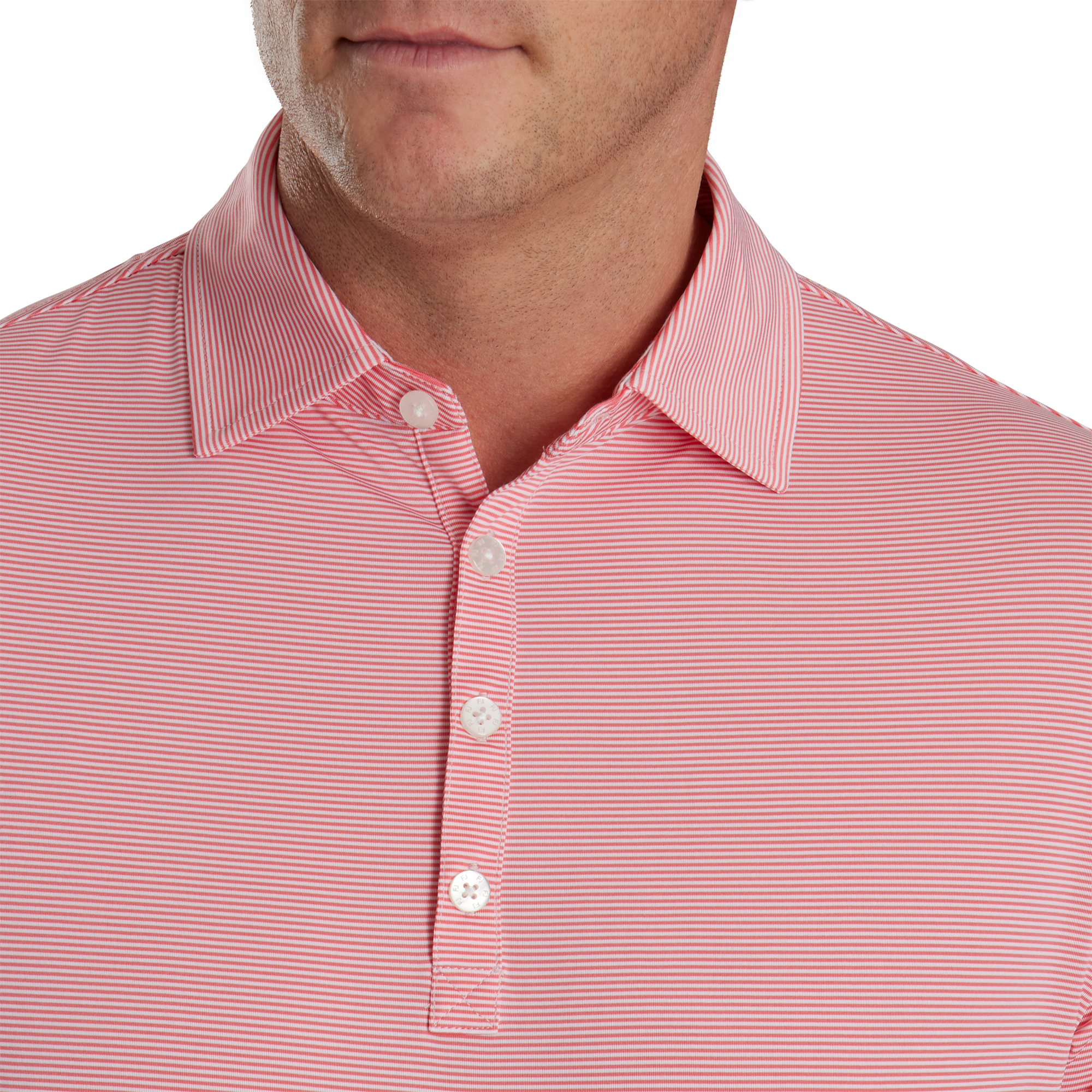 Micro Feeder Stripe Lisle Self Collar