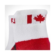 TechSof Tour Roll Tab Limited Edition Flag